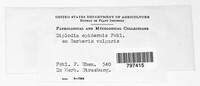 Image Associated With the Occurence